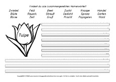 Tulpe-zusammengesetzte-Nomen.pdf